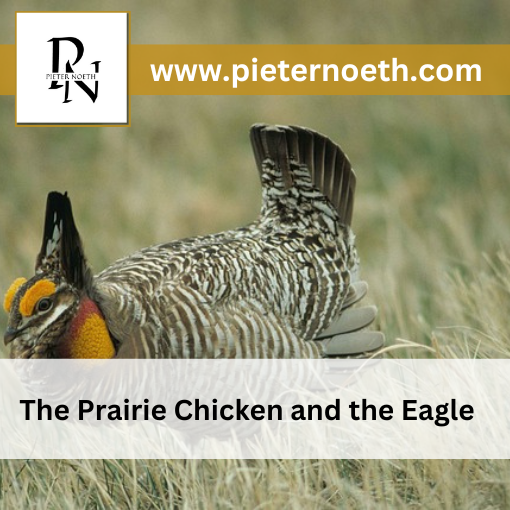 The Prairie Chicken